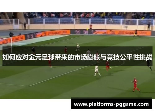 如何应对金元足球带来的市场膨胀与竞技公平性挑战