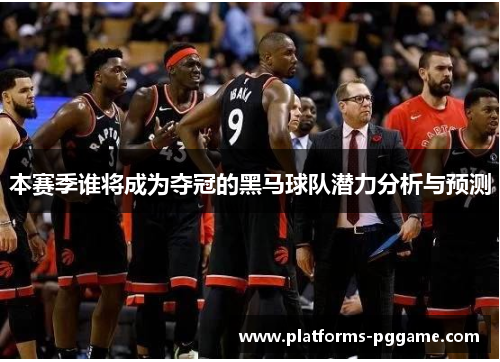 本赛季谁将成为夺冠的黑马球队潜力分析与预测 本赛季谁将成为夺冠的黑马球队潜力分析与预测