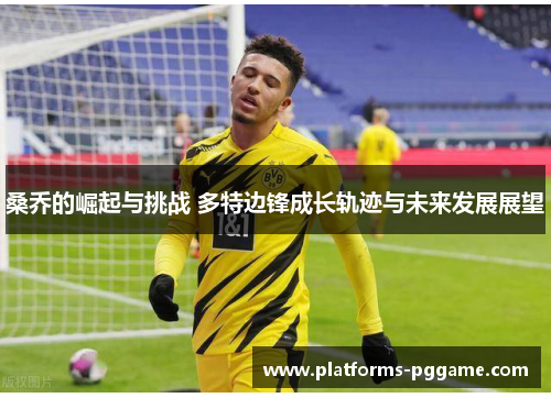 桑乔的崛起与挑战 多特边锋成长轨迹与未来发展展望 桑乔的崛起与挑战 多特边锋成长轨迹与未来发展展望